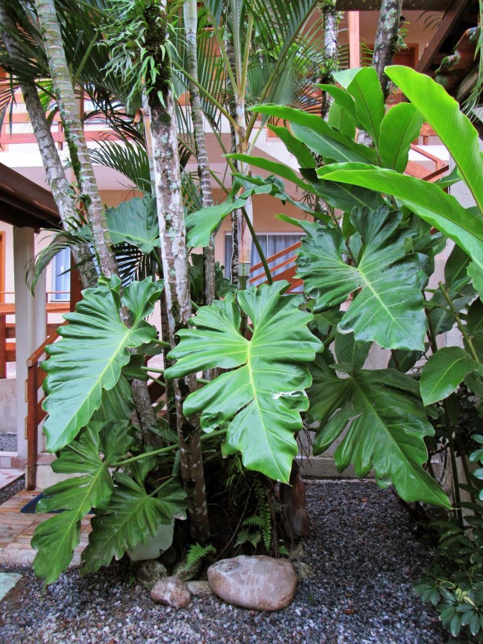 Pousada Do Pinheiro Camburi  Exterior photo